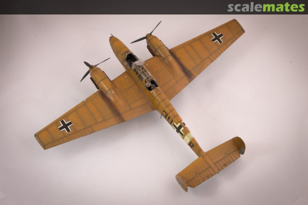 View album, image #1 View album, image #1