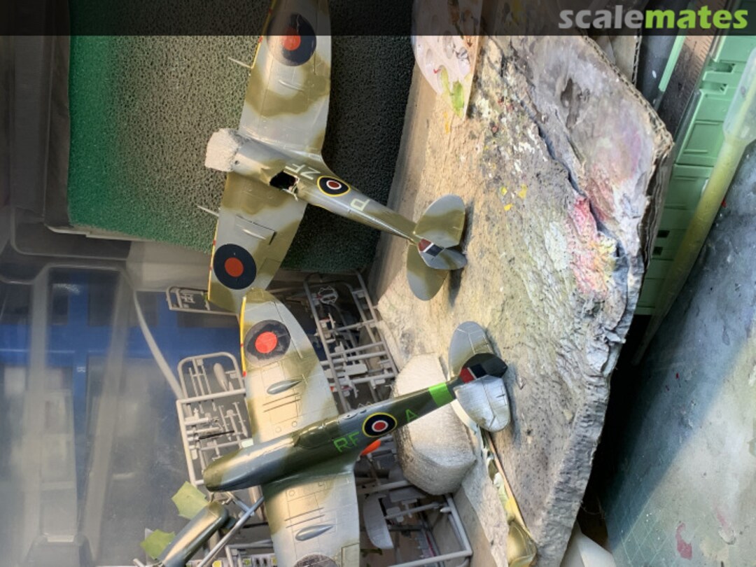 View album, image #1