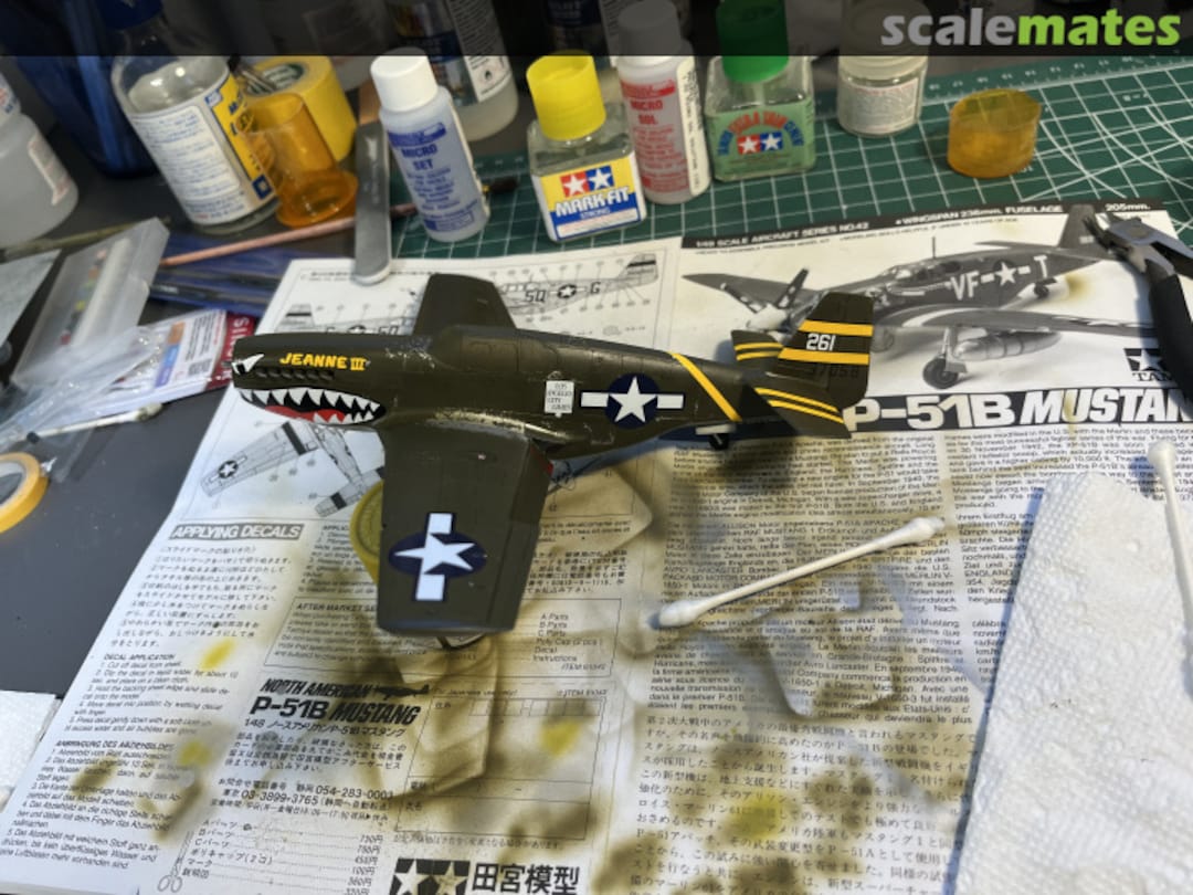 View album, image #1 View album, image #1