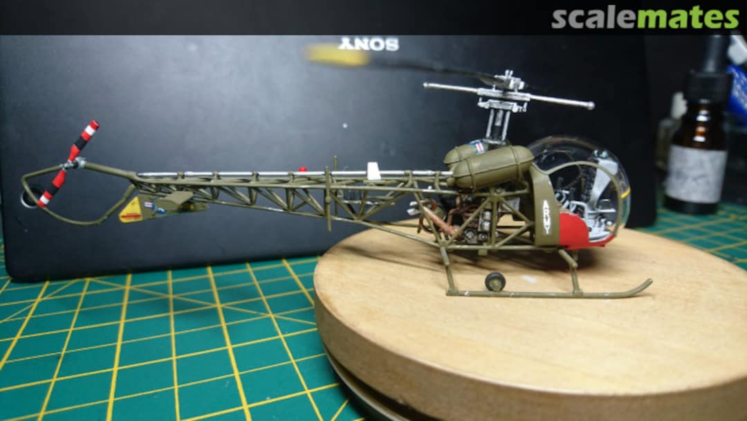 View album, image #1 View album, image #1