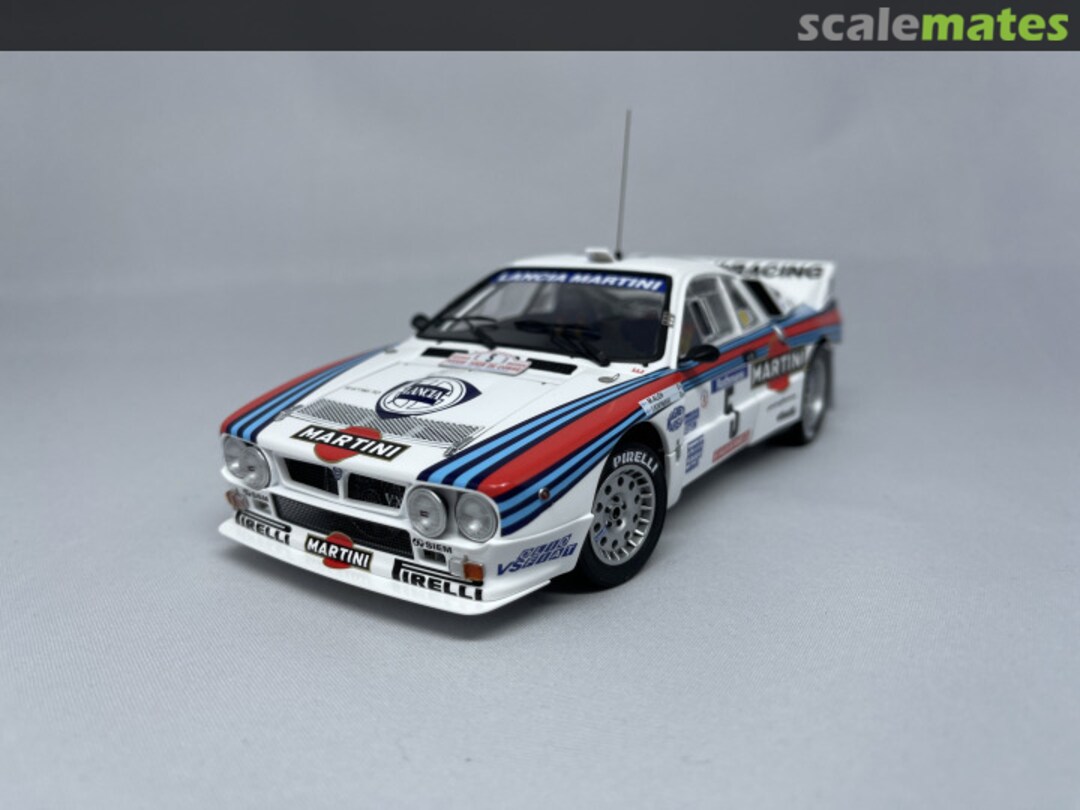 View album, image #8 View album, image #8