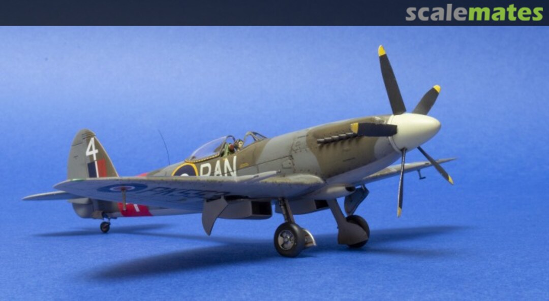 View album, image #4 View album, image #4