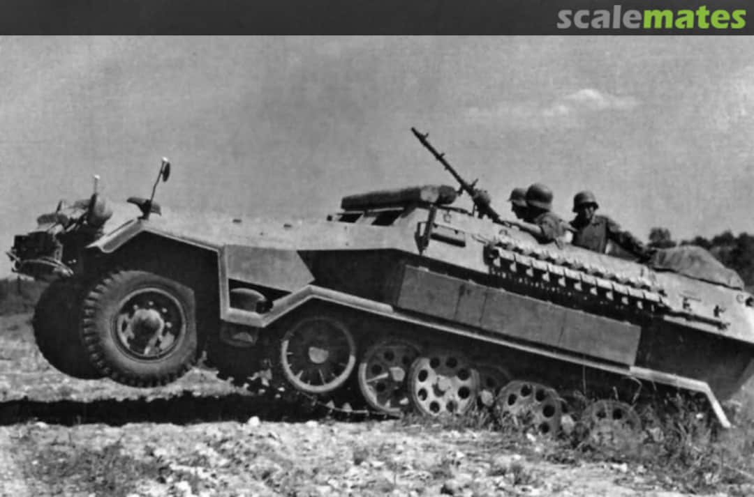 View album, image #1 View album, image #1