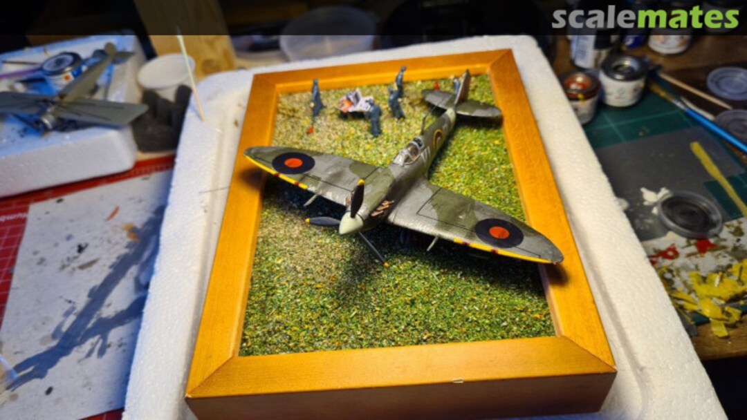 View album, image #70 View album, image #70