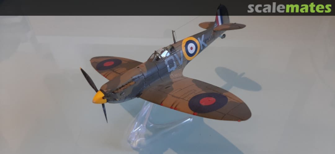 View album, image #1 View album, image #1