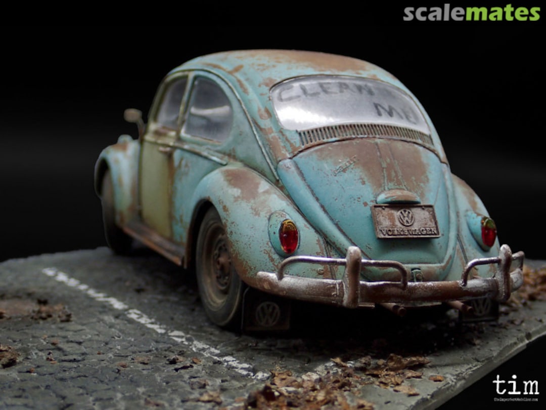 View album, image #4 View album, image #4