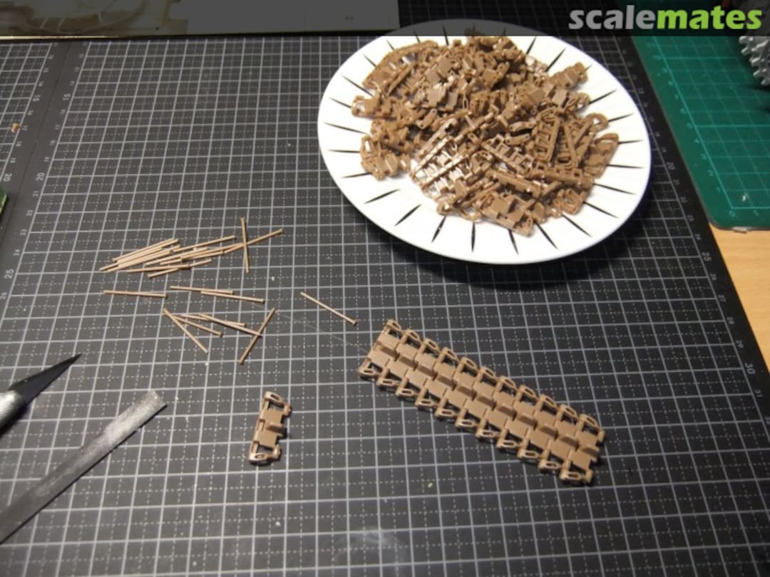 View album, image #1 View album, image #1