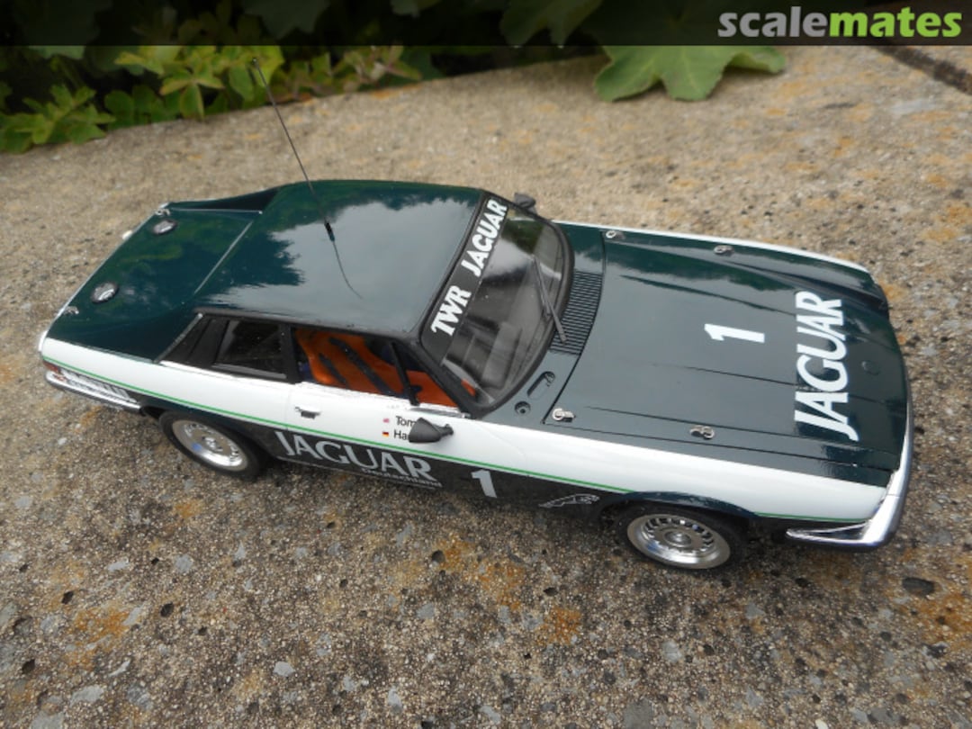 View album, image #1 View album, image #1