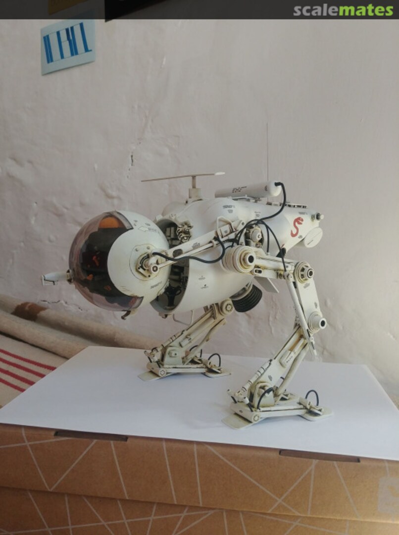 View album, image #1 View album, image #1