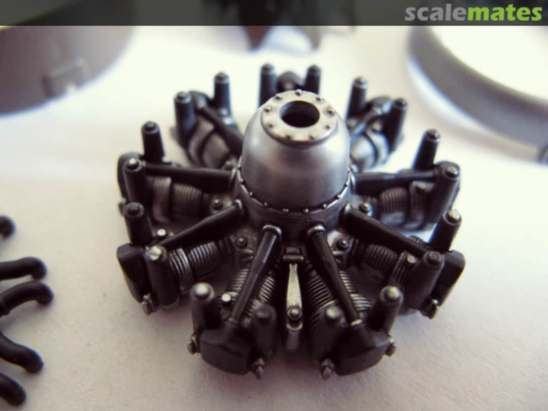 View album, image #10 View album, image #10