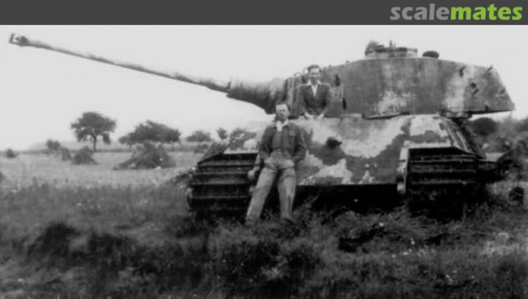 View album, image #1 View album, image #1