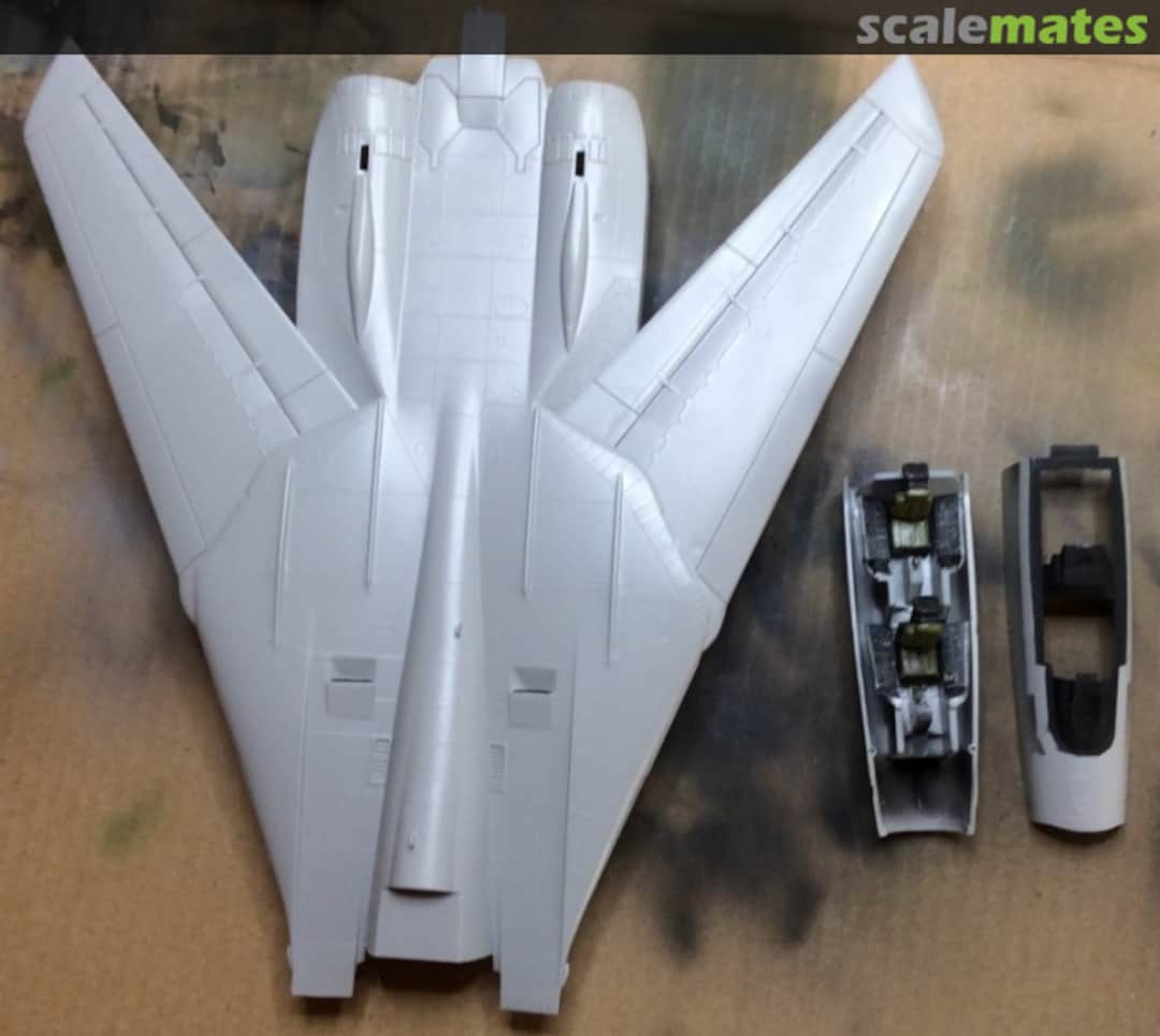 View album, image #1 View album, image #1