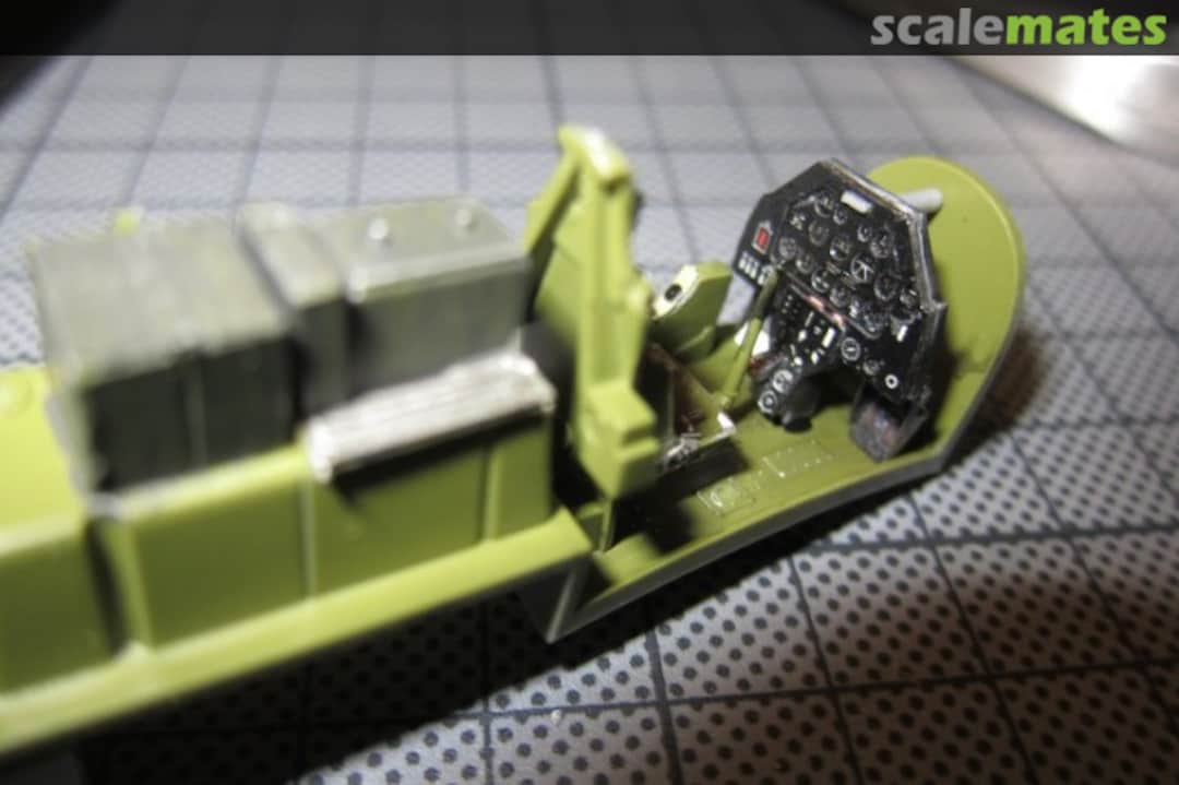 View album, image #1 View album, image #1