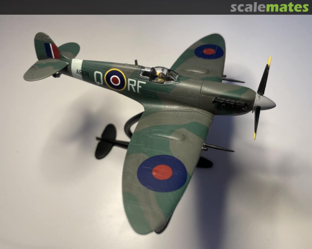 View album, image #3 View album, image #3