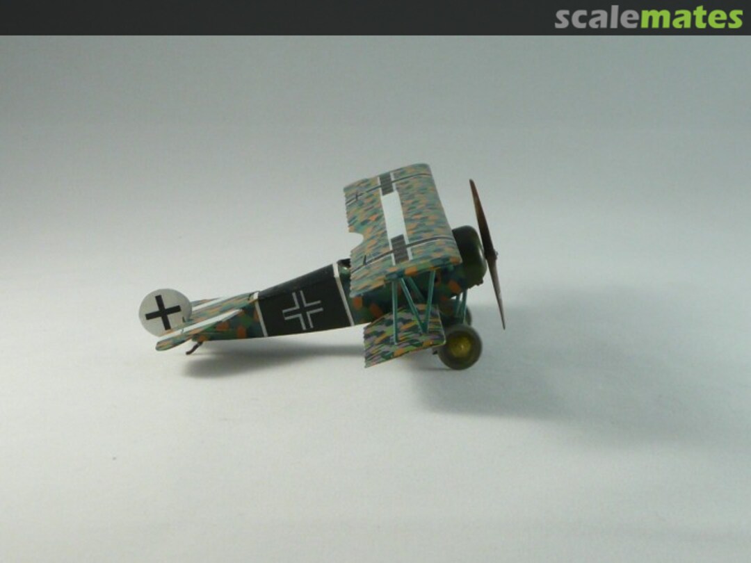 View album, image #1