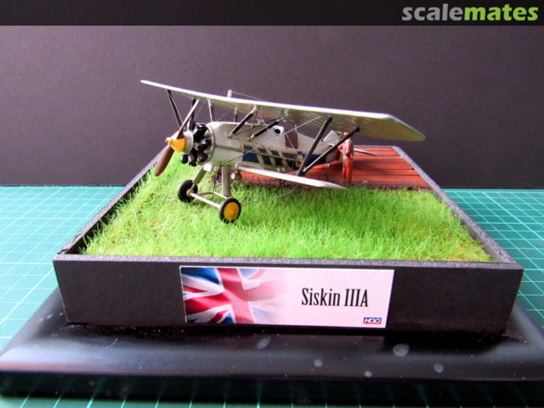 View album, image #1 View album, image #1