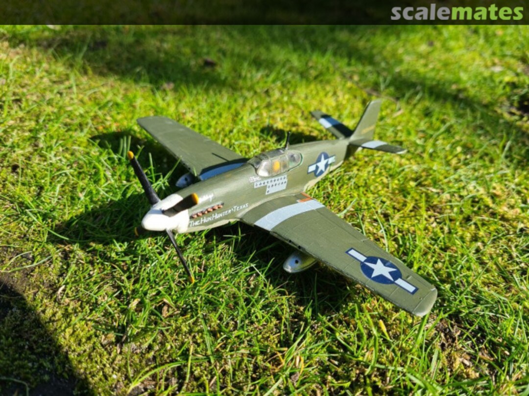 View album, image #11 View album, image #11