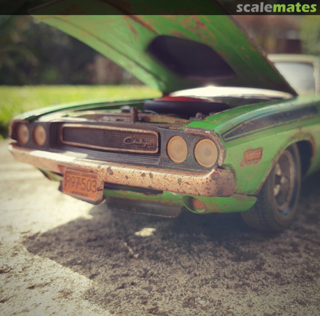 View album, image #118 View album, image #118