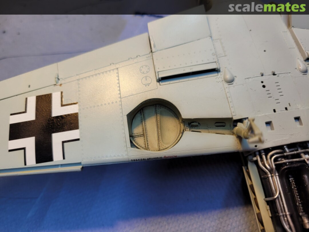 View album, image #1 View album, image #1