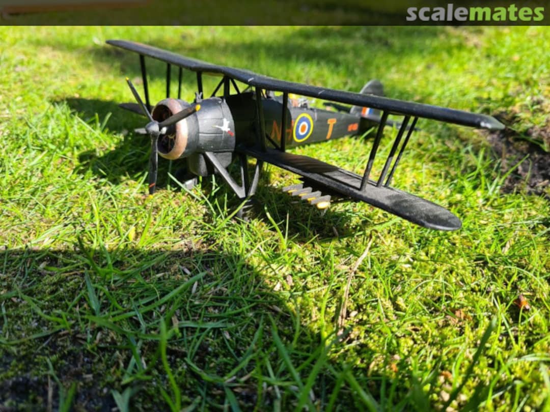 View album, image #15 View album, image #15