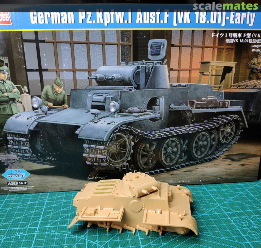 View album, image #1 View album, image #1