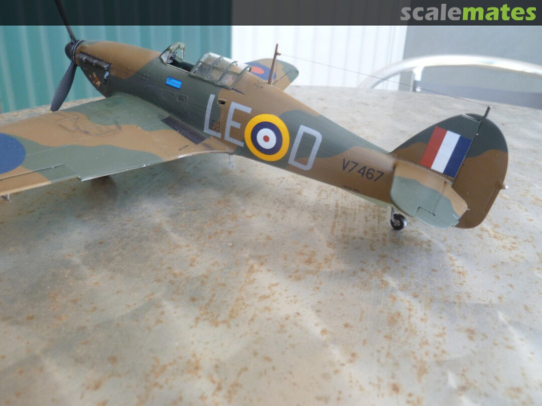 View album, image #15 View album, image #15