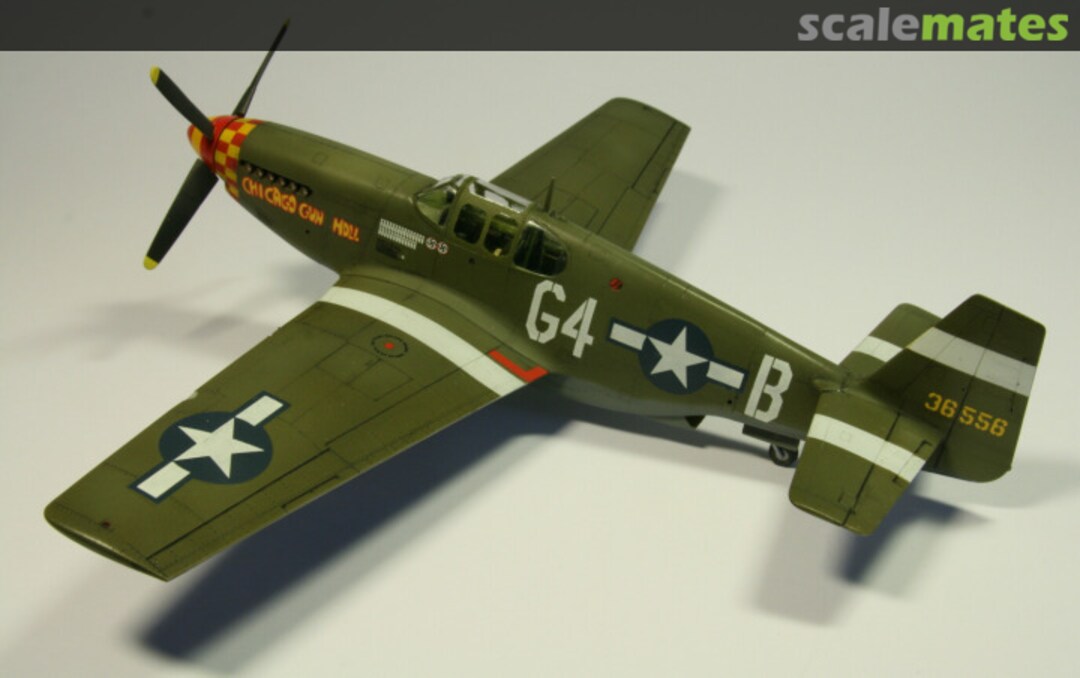 View album, image #1 View album, image #1