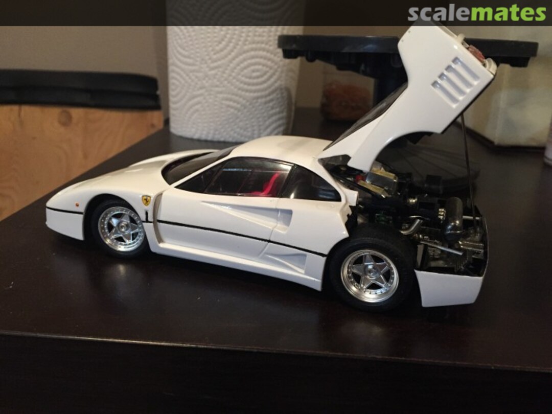 View album, image #1 View album, image #1