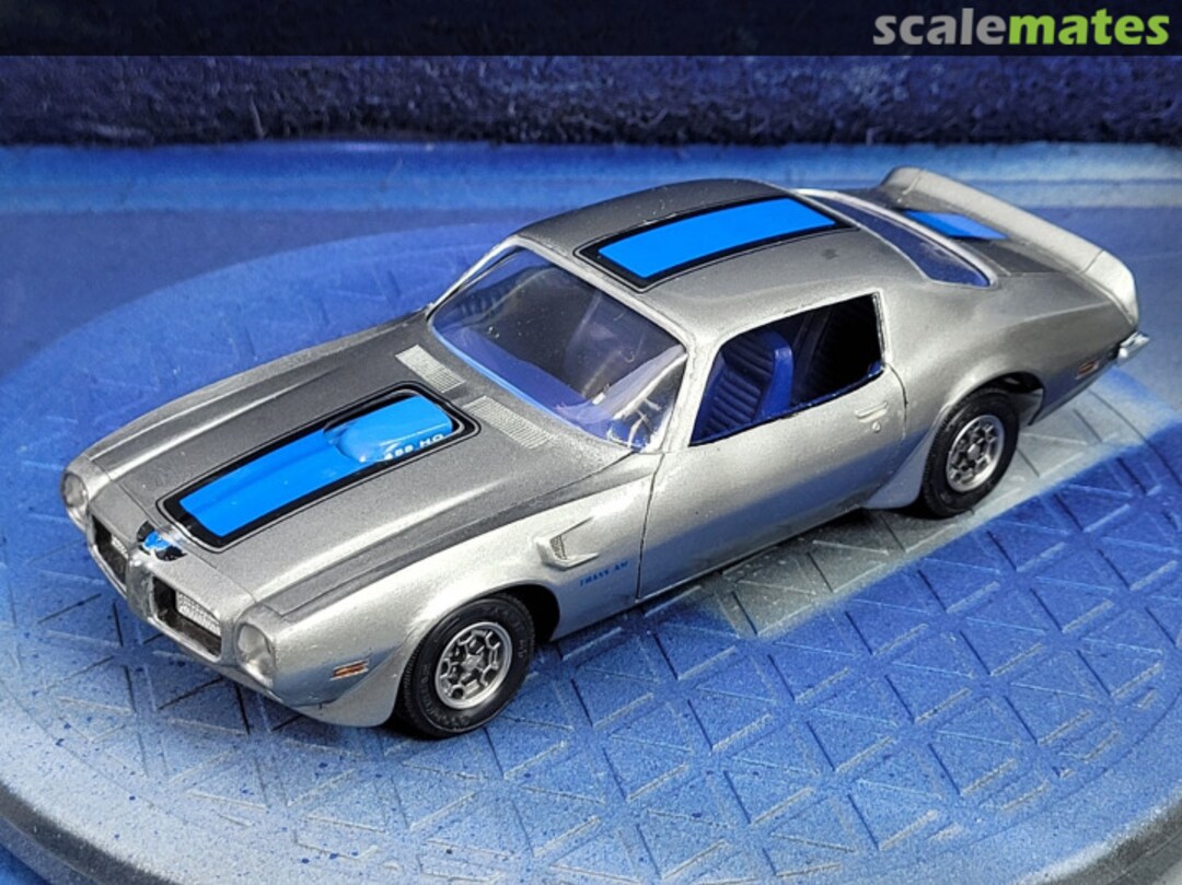 View album, image #8 View album, image #8