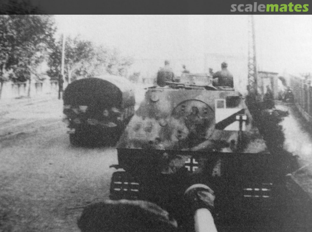 View album, image #1