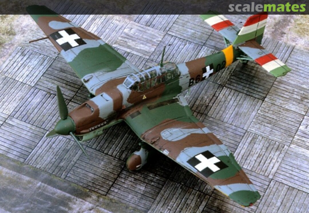 View album, image #1 View album, image #1