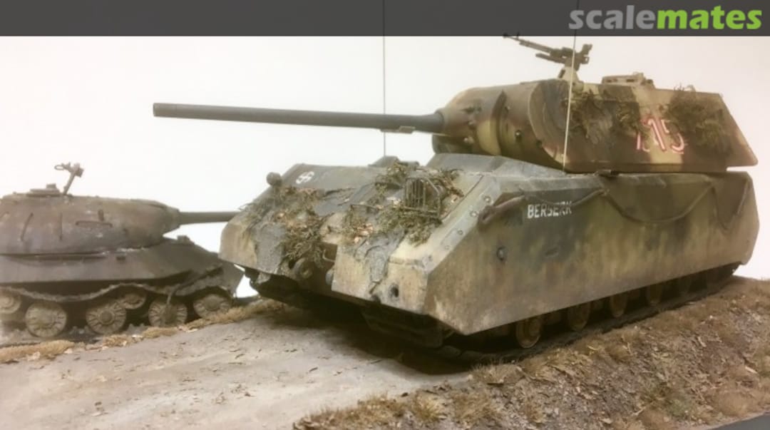 View album, image #2