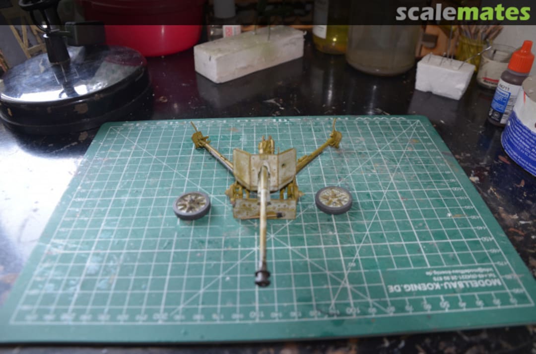 View album, image #1 View album, image #1