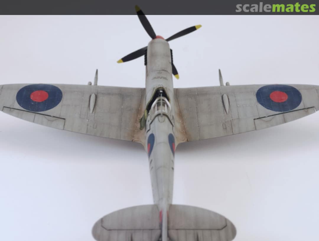 View album, image #1