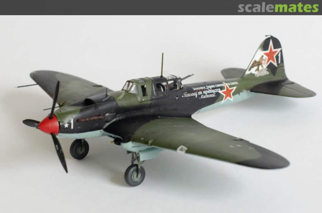 View album, image #1 View album, image #1