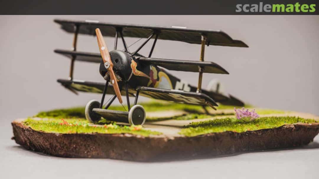 View album, image #1 View album, image #1