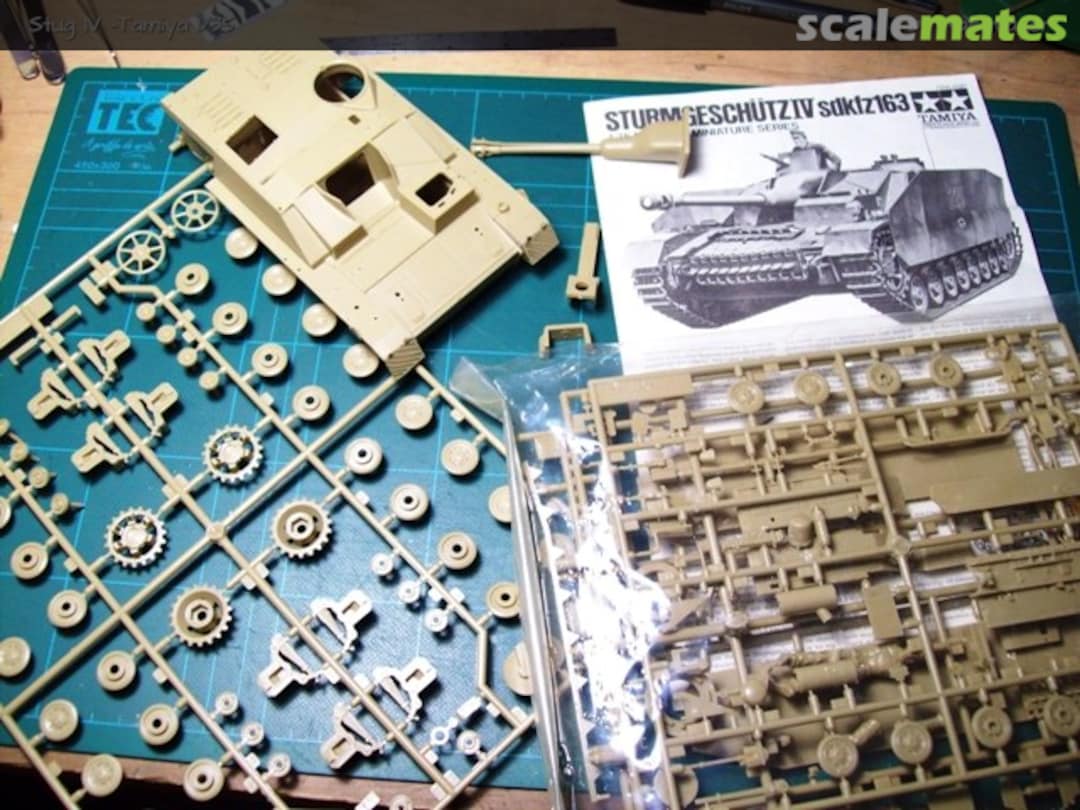 View album, image #1 View album, image #1