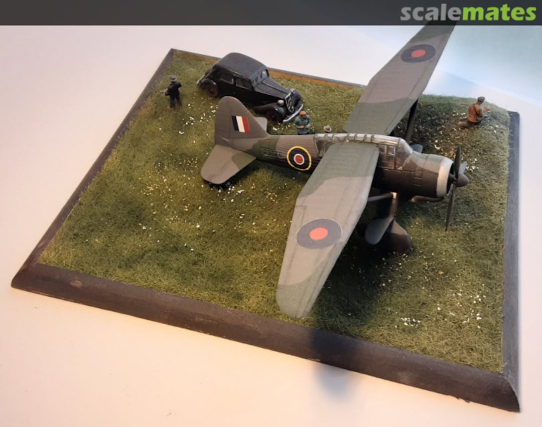 View album, image #1 View album, image #1