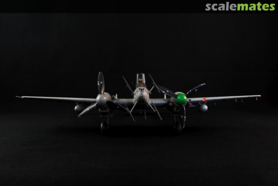 View album, image #1 View album, image #1