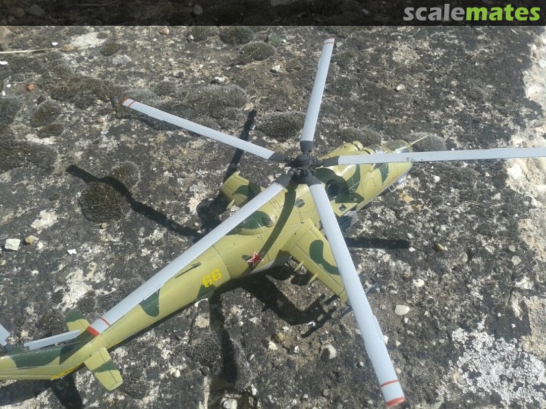 View album, image #23 View album, image #23