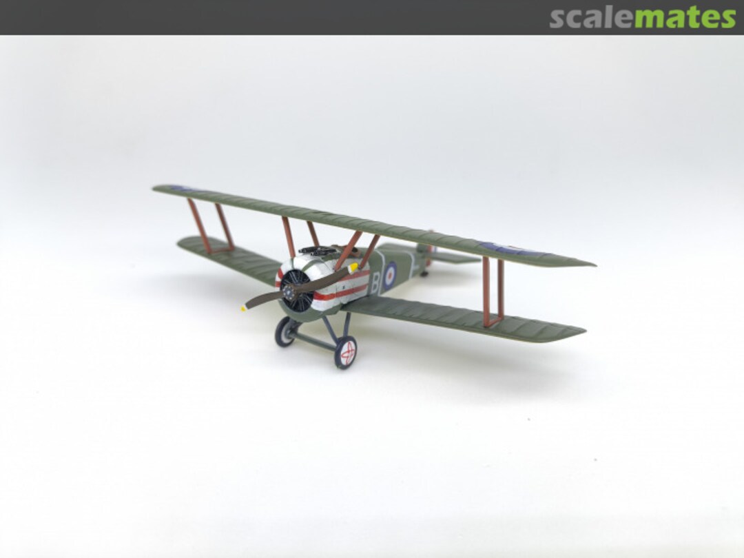 View album, image #1