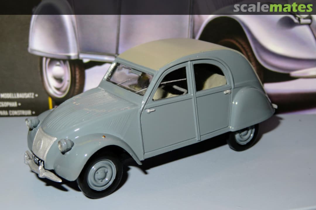 View album, image #4 View album, image #4