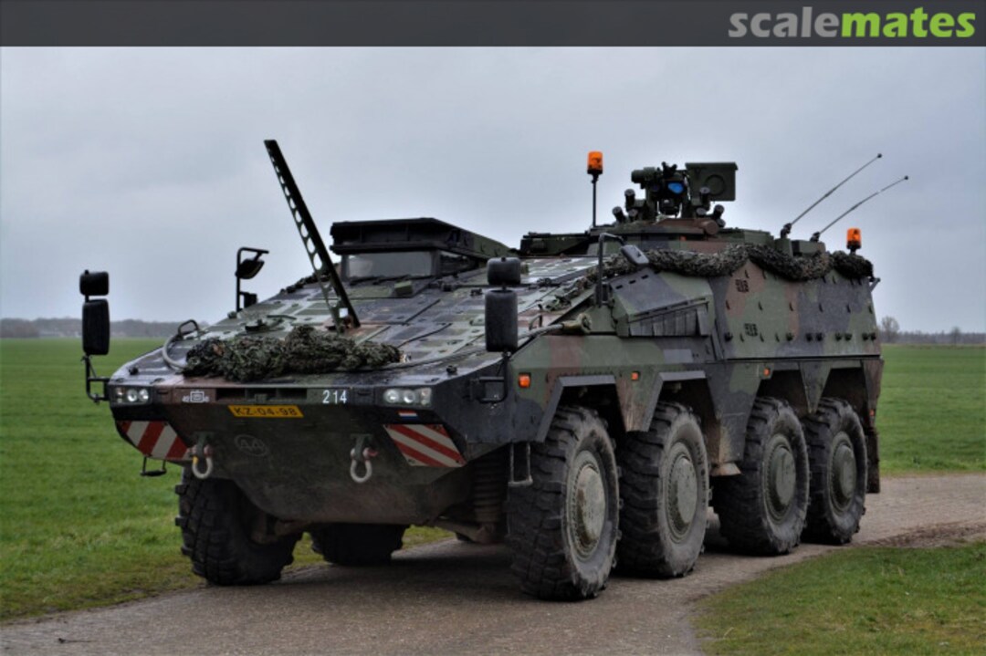 View album, image #1 View album, image #1