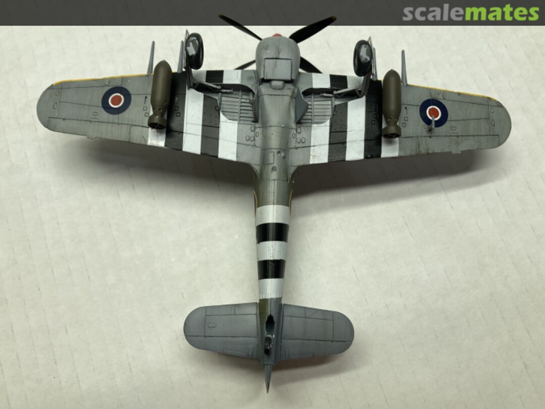 View album, image #6 View album, image #6