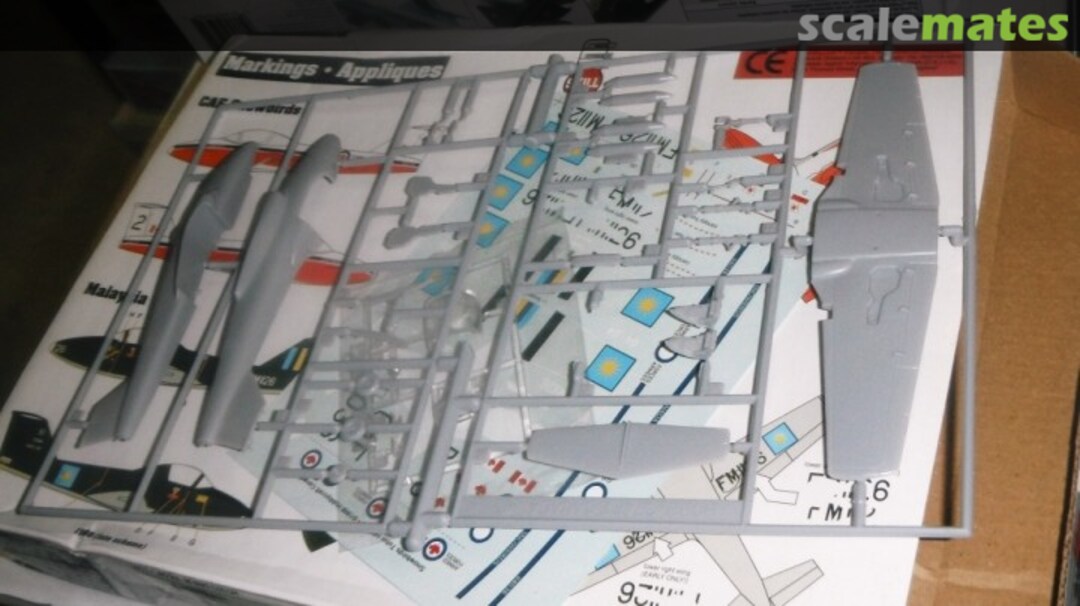 View album, image #1