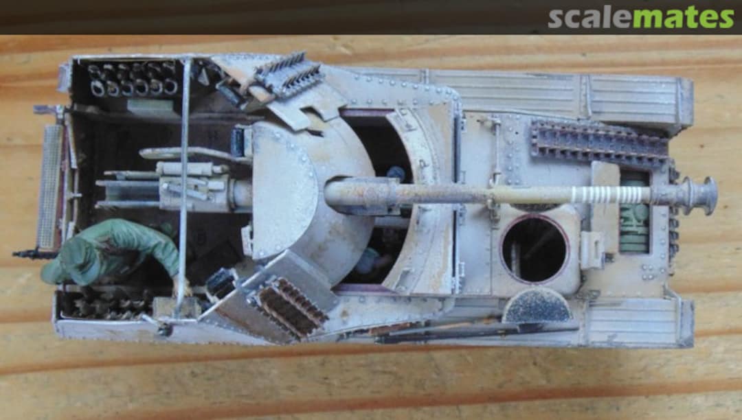 View album, image #6