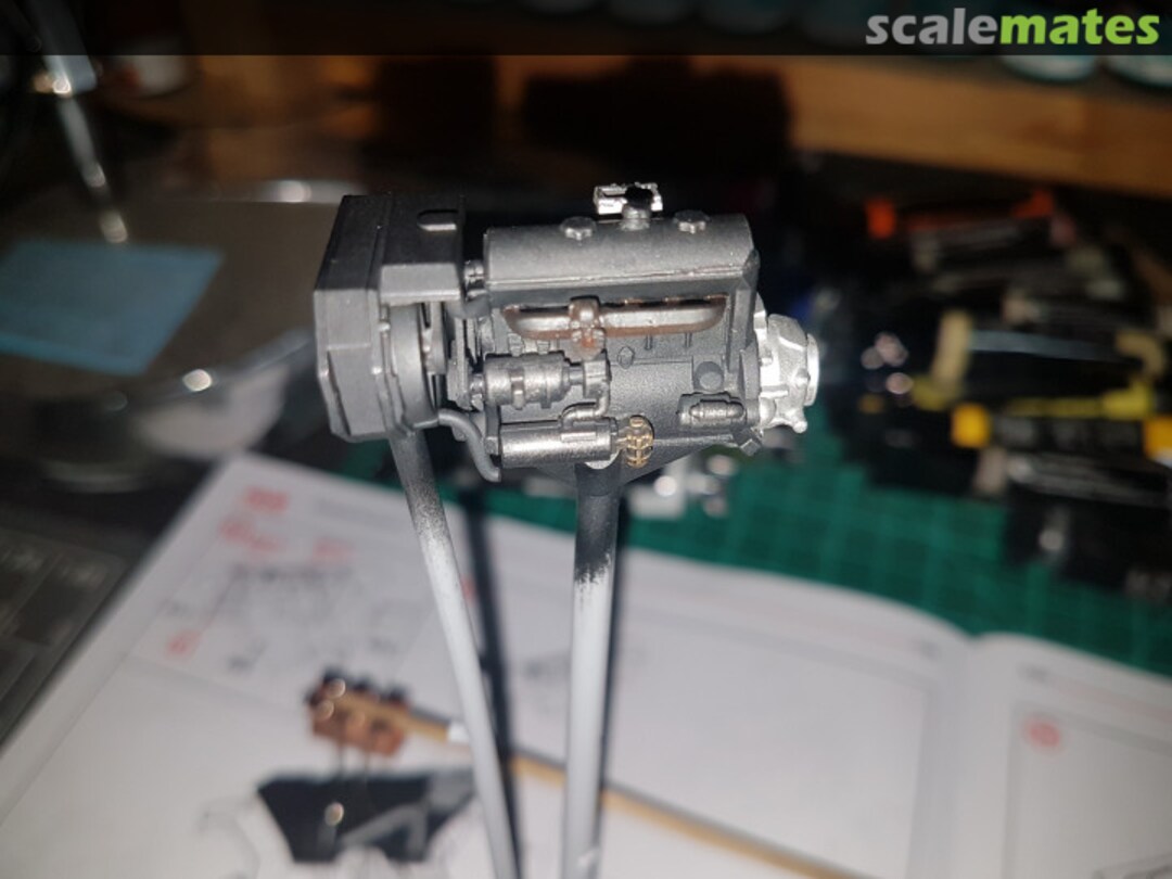 View album, image #1 View album, image #1