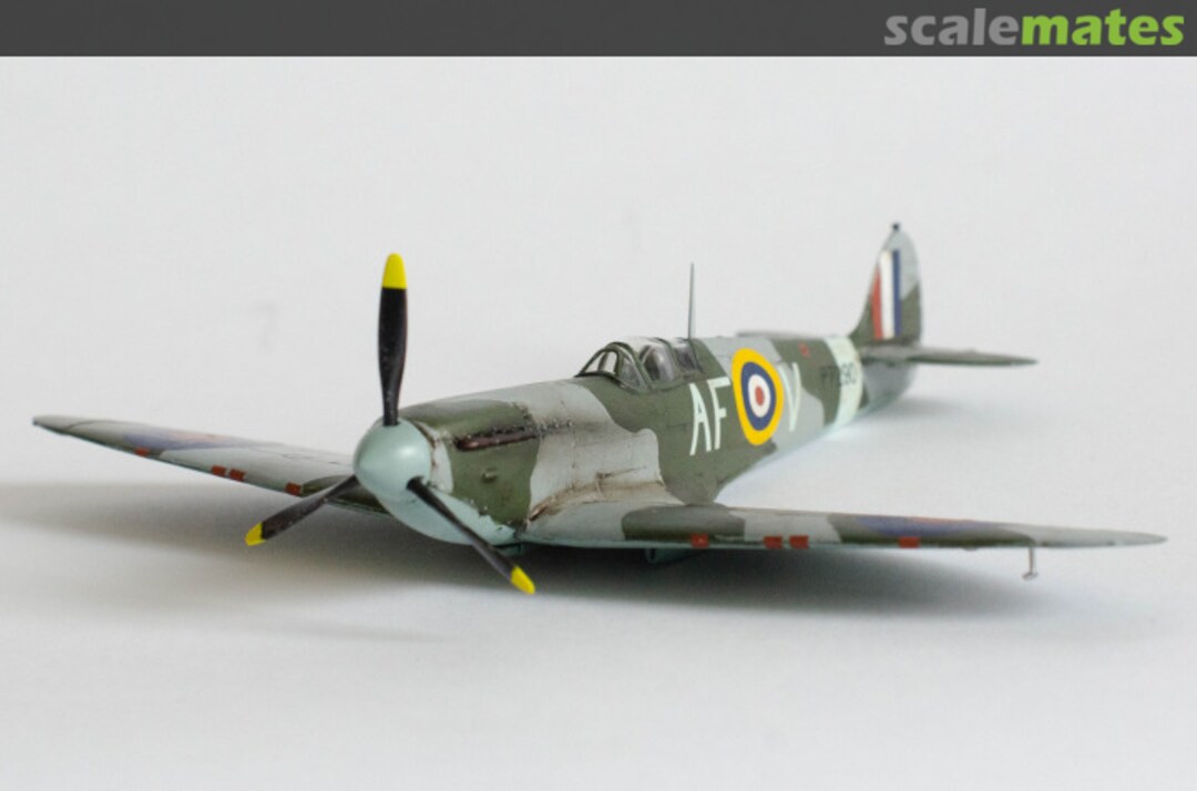 View album, image #1 View album, image #1