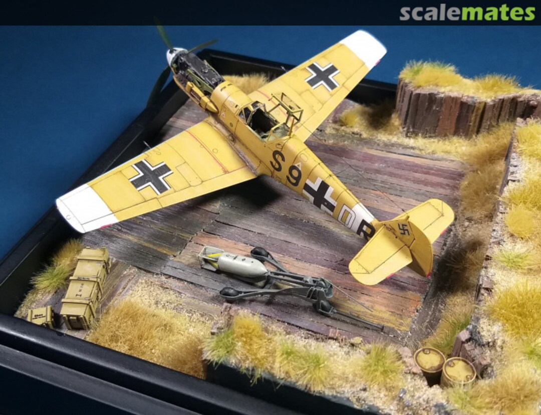 View album, image #1 View album, image #1