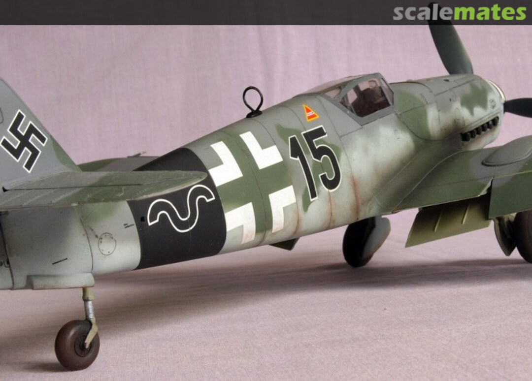 View album, image #1 View album, image #1